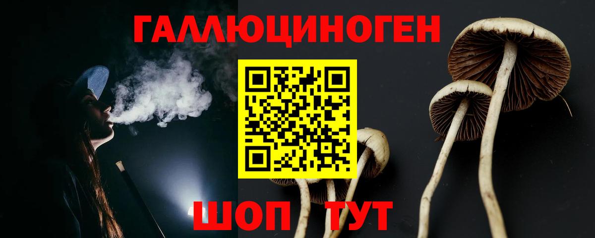 Галлюциногенные грибы Cubensis  Вход с VPN  Кохма 